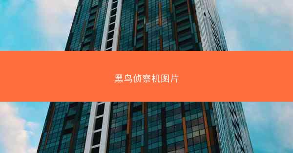 黑鸟侦察机图片