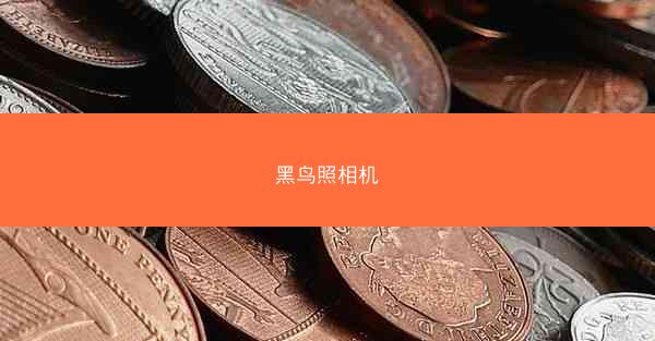 黑鸟照相机