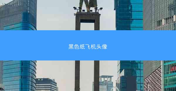 黑色纸飞机头像