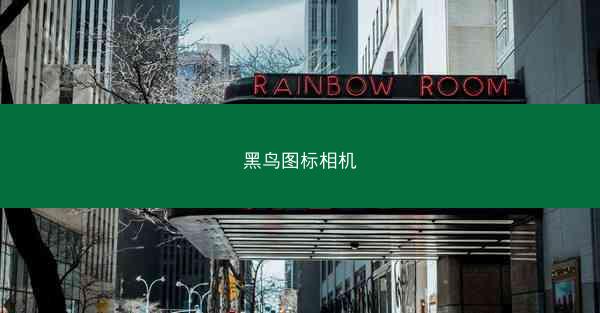 黑鸟图标相机