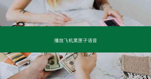 播放飞机黑匣子语音