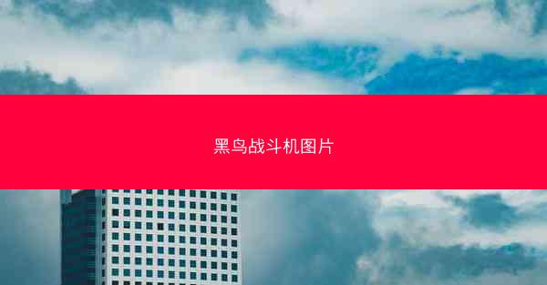 黑鸟战斗机图片