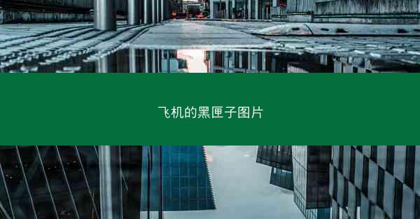 飞机的黑匣子图片