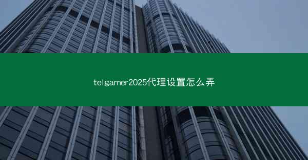 telgamer2025代理设置怎么弄
