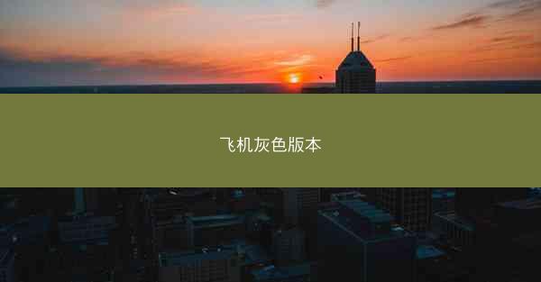 飞机灰色版本