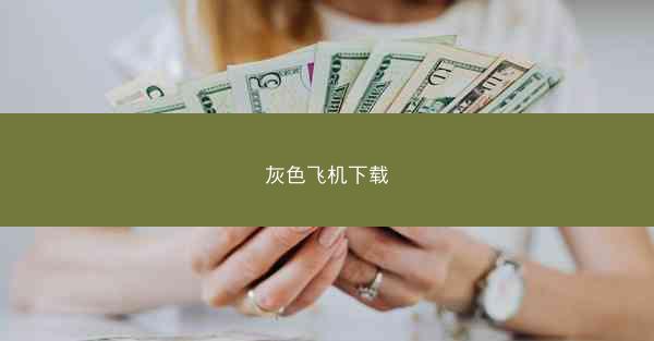 灰色飞机下载