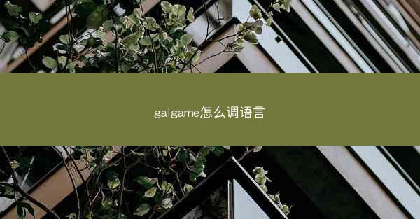 galgame怎么调语言
