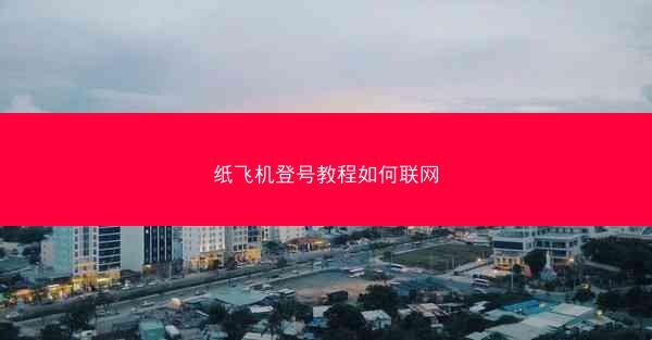 纸飞机登号教程如何联网