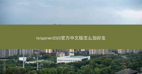 telgamer2025官方中文版怎么加好友