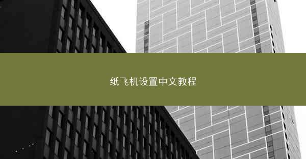 纸飞机设置中文教程