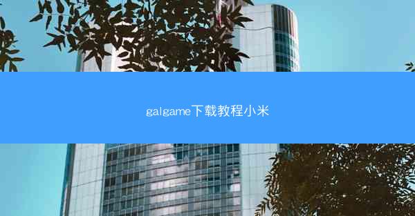 galgame下载教程小米