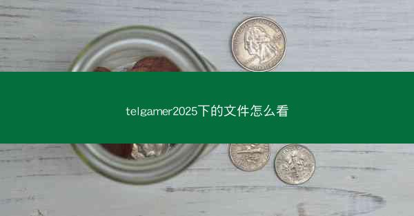 telgamer2025下的文件怎么看