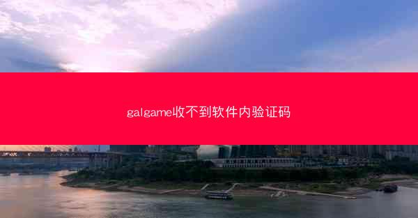 galgame收不到软件内验证码