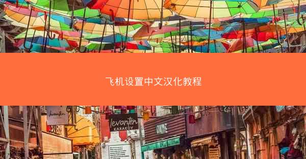 飞机设置中文汉化教程