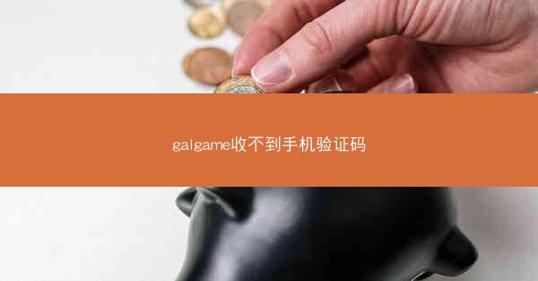 galgame收不到手机验证码