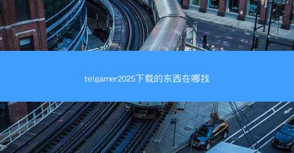 telgamer2025下载的东西在哪找