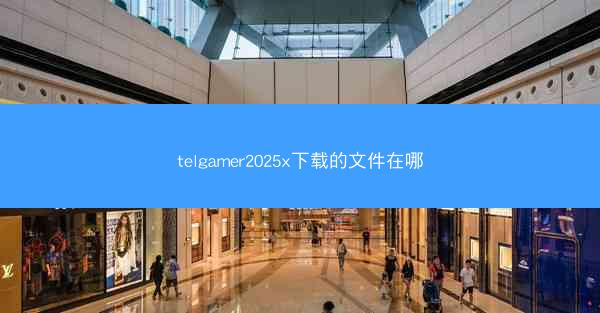 telgamer2025x下载的文件在哪