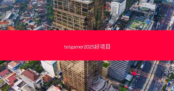 telgamer2025好项目