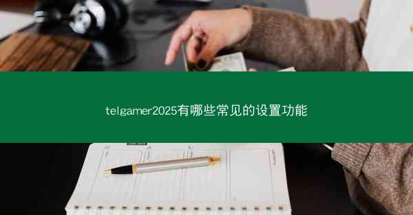 telgamer2025有哪些常见的设置功能