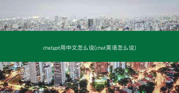 chatgpt用中文怎么说(chat英语怎么说)