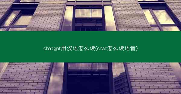 chatgpt用汉语怎么读(chat怎么读语音)