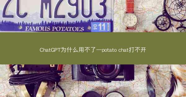 ChatGPT为什么用不了—potato chat打不开