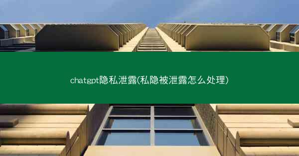 chatgpt隐私泄露(私隐被泄露怎么处理)