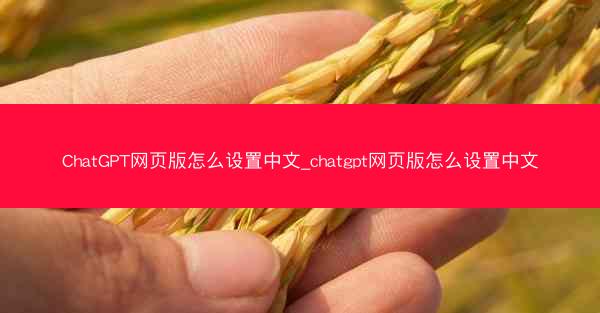 ChatGPT网页版怎么设置中文_chatgpt网页版怎么设置中文